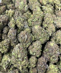 cherry biscotti strain