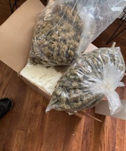 premium exotic candy runtz marijuana cannabis exotic  indoor infused flower  weed strain