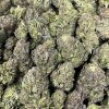 gush mints strain