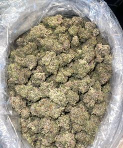 chocolate og strain