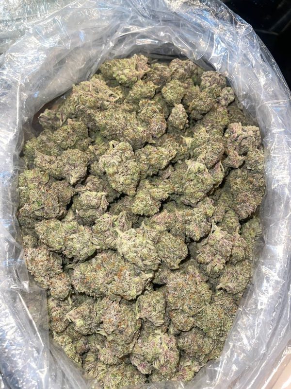 chocolate og strain indoor hybrid marijuana weed