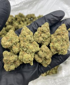 cereal runtz strain