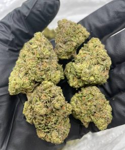 banana tropicana strain