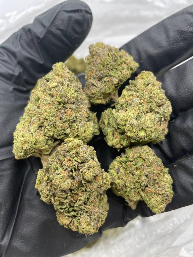 jawbreaker strain hybrid cannabis marijuana