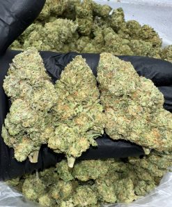 white truffle strain