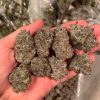 grape soda strain