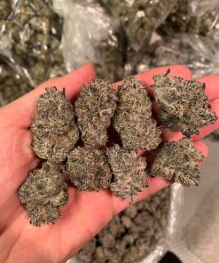 grape soda strain