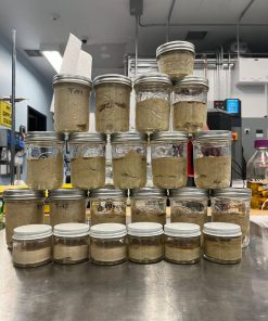 hash rosin